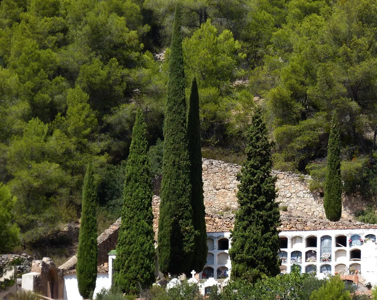 Sådan bygger du nichesider til passiv affiliate-trafik